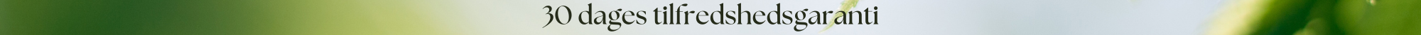 30 dages tilfredshedsgaranti-4